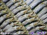 業務用ウルメイワシ　１０尾&times;６串